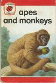 Apes and Monkeys