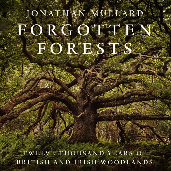 Forgotten Forests: Twelve Thousand Years of British and Irish Woodlands: Twelve Thousand Years of British and Irish Woodlands