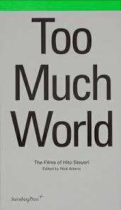 Too much world. The films of Hito Steyerl