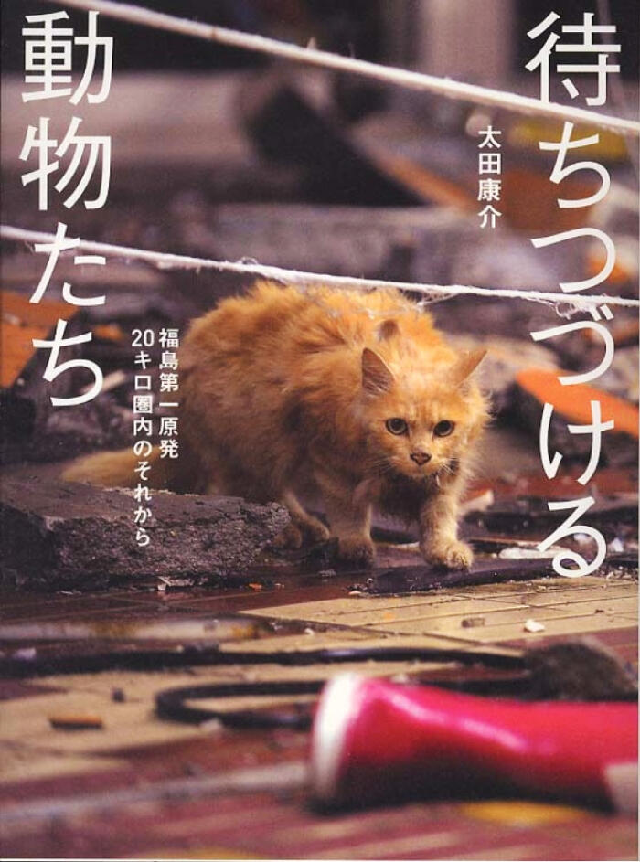 待ちつづける動物たち　福島第一原発20キロ圏内のそれから
