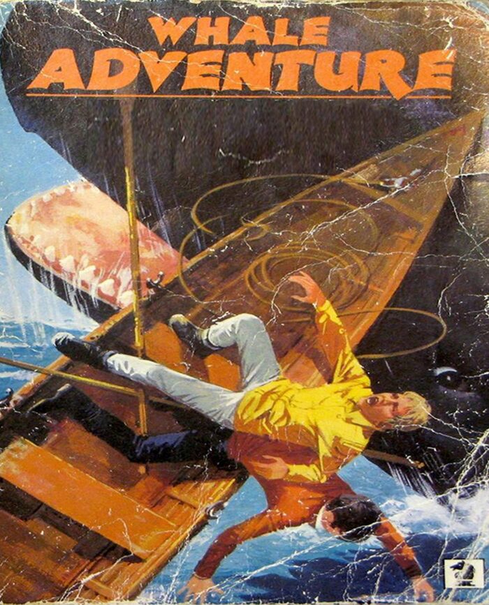 Whale Adventure Willard Price: Children's Books
