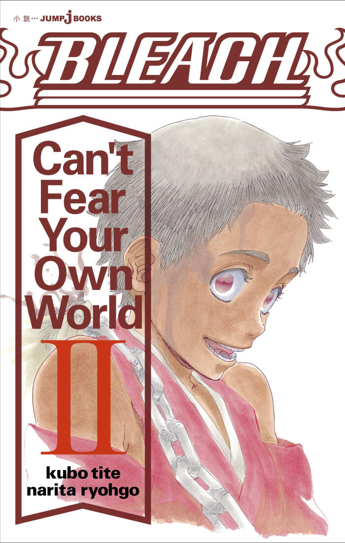 Bleach: Can't Fear Your Own World Vol. 2