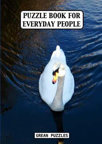 PUZZLE BOOK FOR EVERYDAY PEOPLE: Conundrums, Enigmas and Riddles; Minesweeper, Roundabouts, Sikaku and Sudoku.