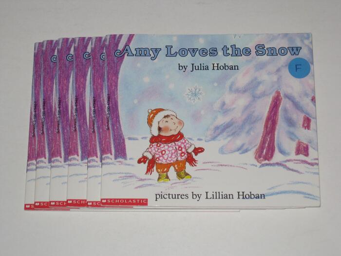 Leveled Guided Reading Set - Amy Loves the Snow