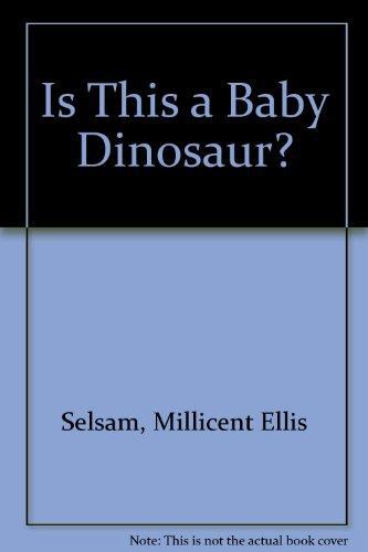 Is This a Baby Dinosaur?