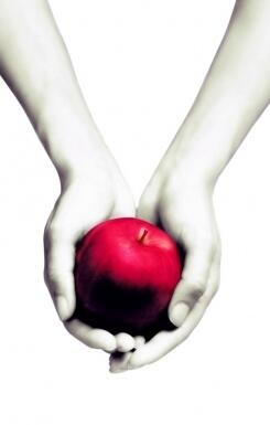 Twilight: Een levensgevaarlijke liefde