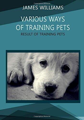 Various Ways of Training Pets