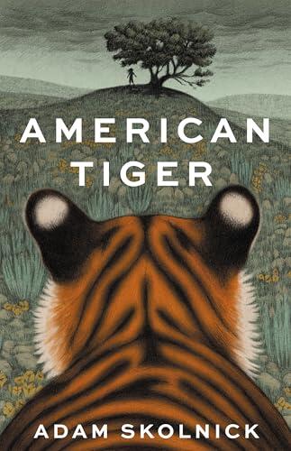 American Tiger