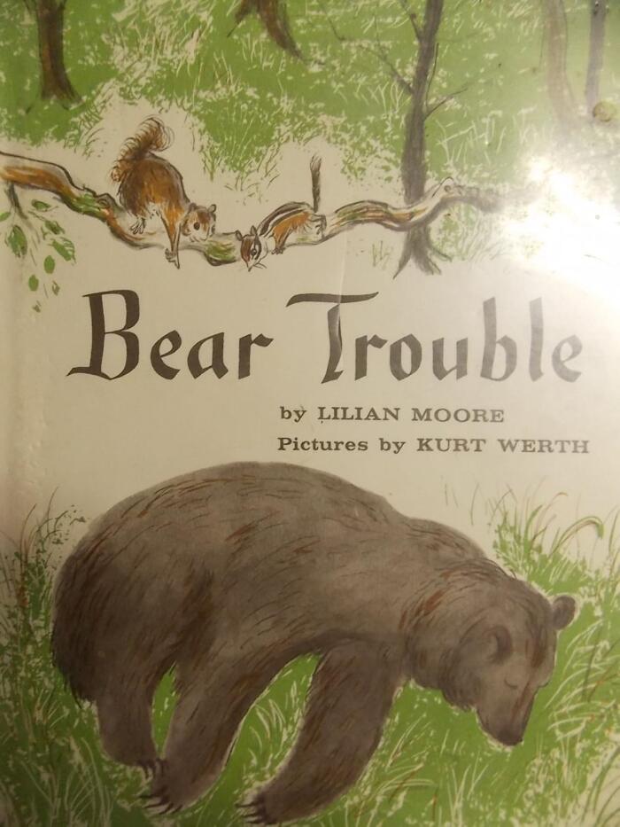 Bear Trouble