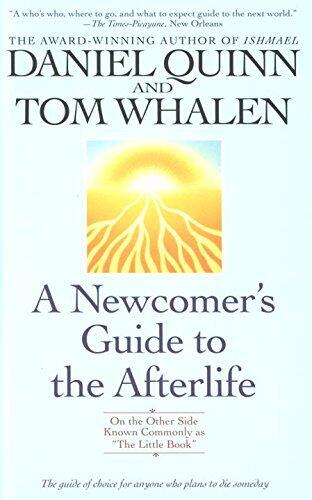 A Newcomer's Guide to the Afterlife: On the Other Side by Daniel Quinn