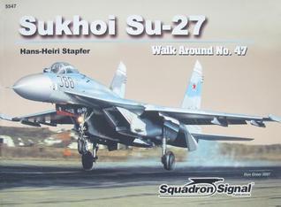 Sukhoi Su-27 Flanker - Walk Around No. 47