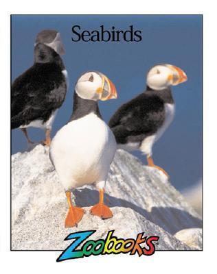 Seabirds