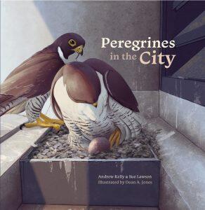 Peregrines in the City