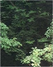 Earths Grows Thick