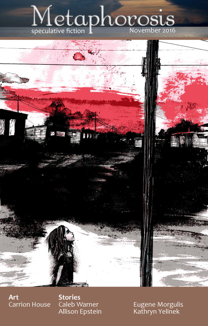Metaphorosis Magazine, Issue 11, November 2016