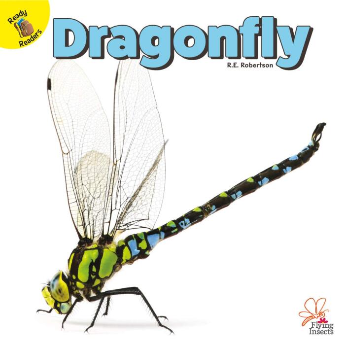 Flying Insects Dragonfly, Grades PK - 1