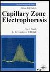 Capillary Zone Electrophoresis