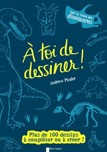 A TOI DE DESSINER ! SUR LA TRACE DES DINOSAURES (DOCS, ACTIVITES