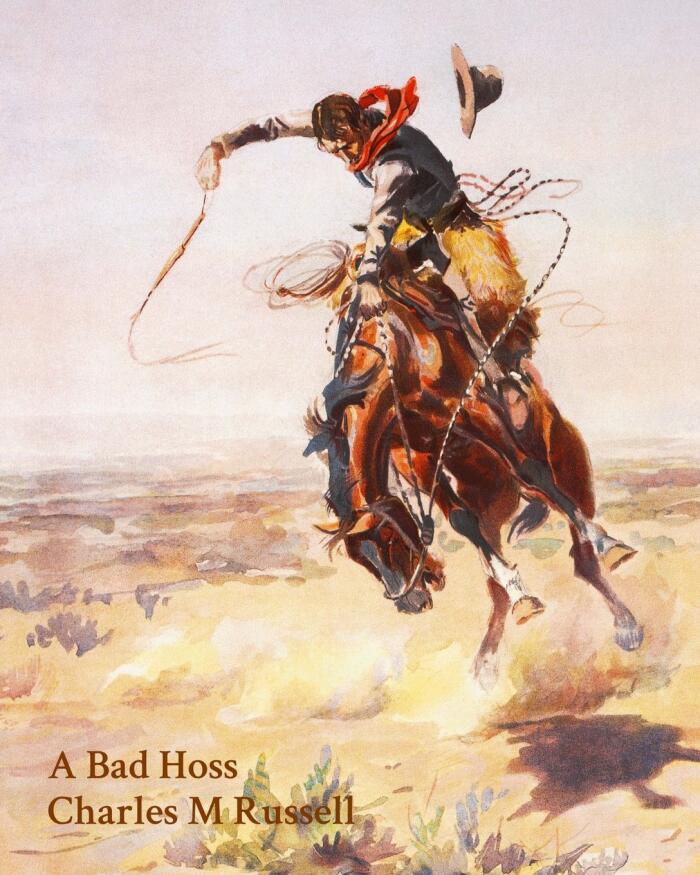 A Bad Hoss