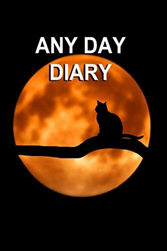 Any Day Diary (6" x 9" One Day Per Page Format)