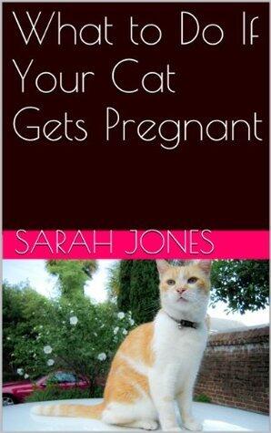 What to Do If Your Cat Gets Pregnant