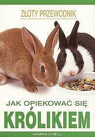 Złoty przewodnik: Jak opiekować się królikiem