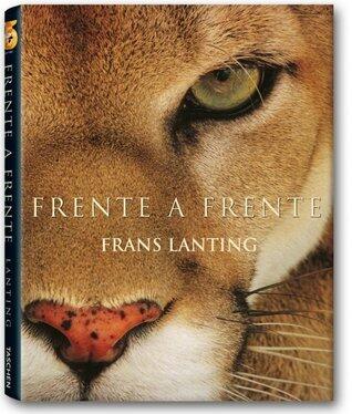 Frente A Frente