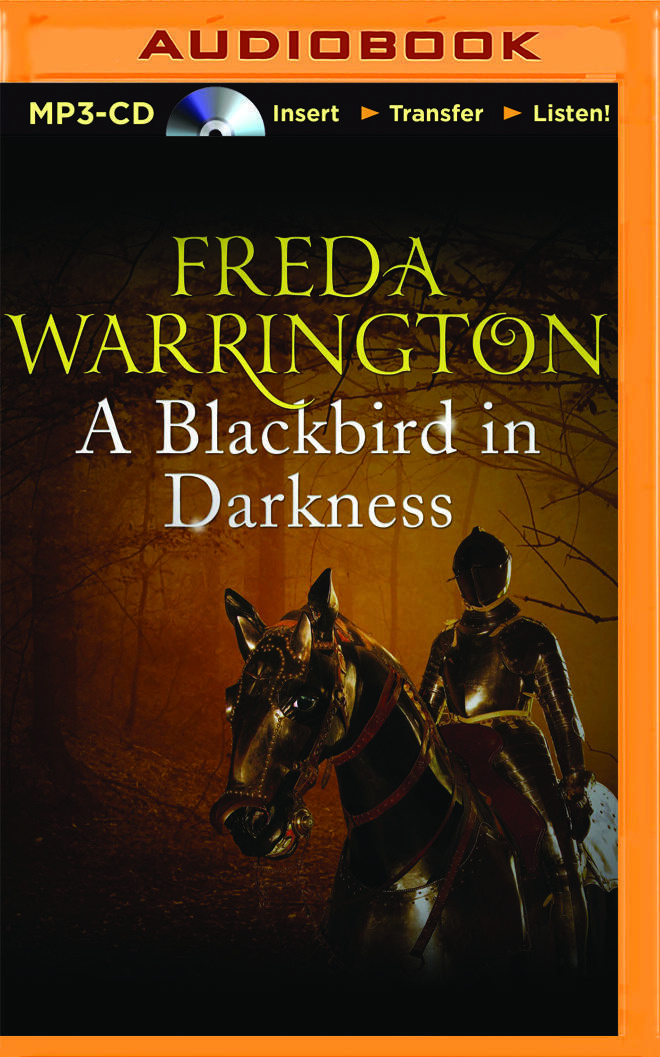 Blackbird in Darkness, A