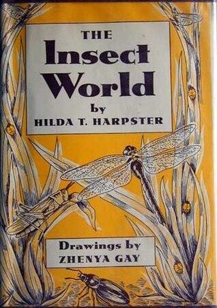 The Insect World