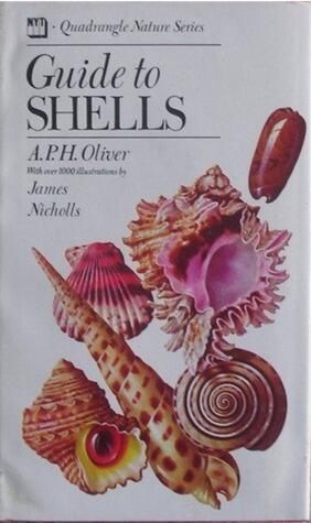 Guide to Shells