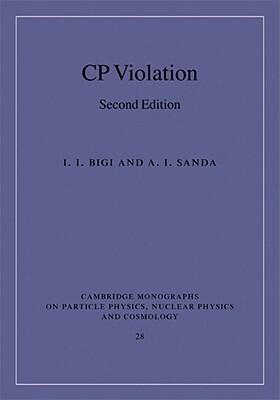 C.P. Violation