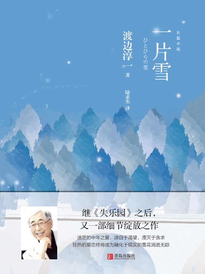 一片雪（继《失乐园》之后，渡边淳一又一部细节绽放之作。迷茫的中年之爱，源自于渴望，湮灭于贪求！）