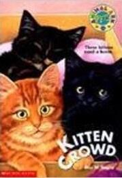 Kitten Crowd