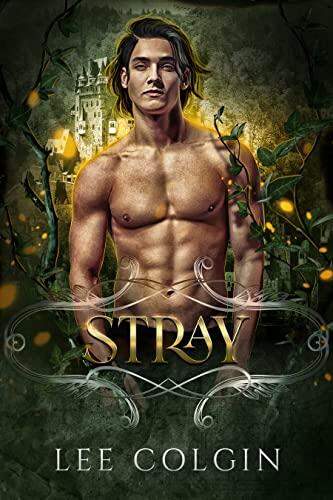 Stray