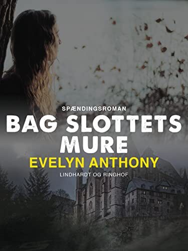 Bag slottets mure