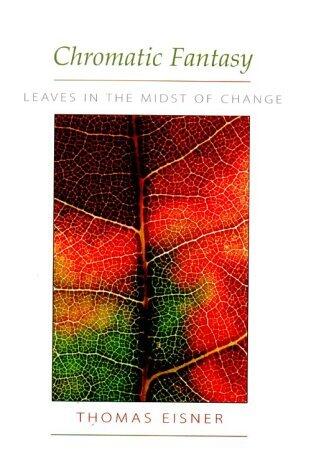 Chromatic Fantasy: Leaves in the Midst of Change