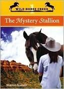 The Mystery Stallion