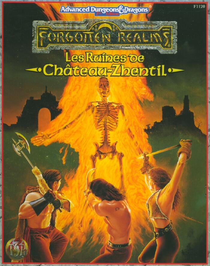 Forgotten Realms Les Ruines De Château-Zhentil
