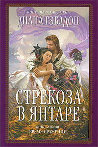 Стрекоза в янтаре: Время сражений, #2.2