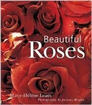 Beautiful Roses