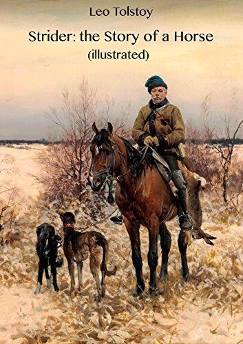Strider: the Story of a Horse