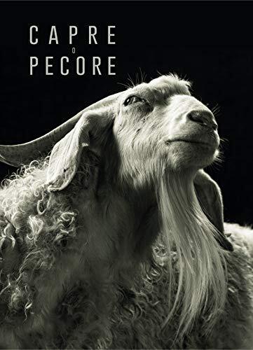 Capre o pecore