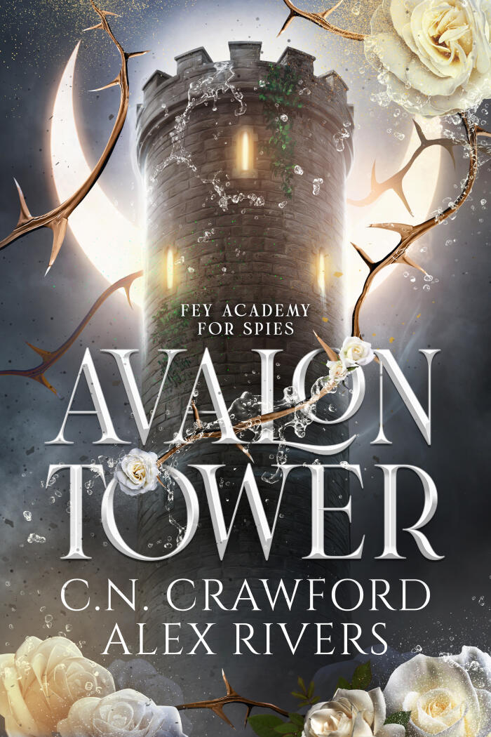 Fey Academy for Spies [Dramatized Adaptation]