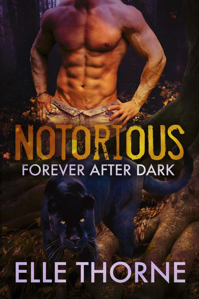 Notorious: Forever After Dark