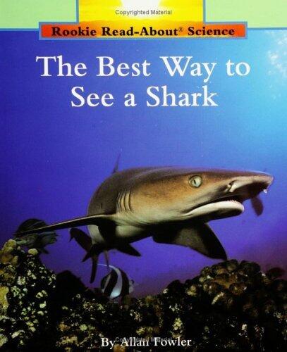 The Best Way to See a Shark