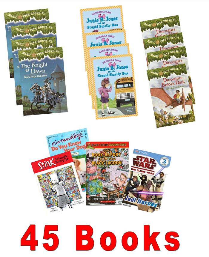 Classroom Library: Junie B. Jones and That Meanie Jim's Birthday; The Yucky Blucky Fruit Cake; Magic Tree House Day of the Dragon