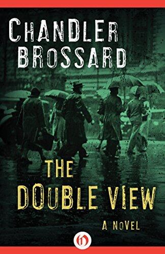 The Double View: A Novel
