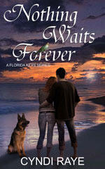 Nothing Waits Forever