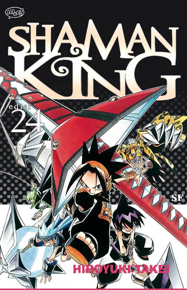 Shaman King Vol. 24: SF
