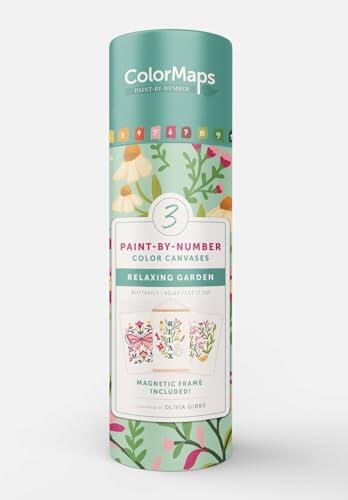 ColorMaps Paint-by-Number Relaxing Garden: Everything You Need to Create 3 Beautiful Paintings: 3 Colored-Line Canvases, 12 Acrylic Paint Pots, 1 ... and Instruction Leaflet Included!